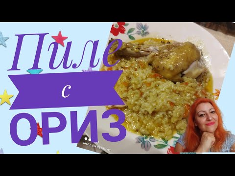 Видео: Пиле с ориз в мултикукър херметик Тефал # рецепти #мултикукър #херметик#тефал #пиле