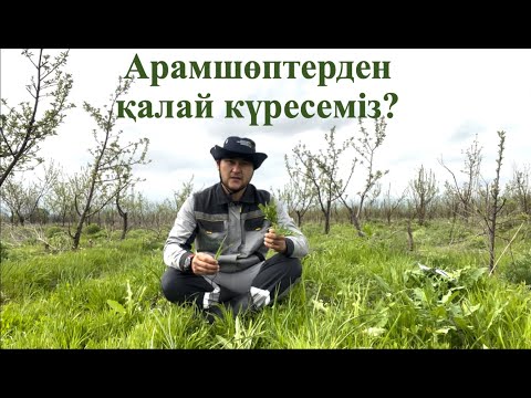 Видео: Арамшөптермен қалай күресеміз? Оларды жоюдың ең тиімді әдісі