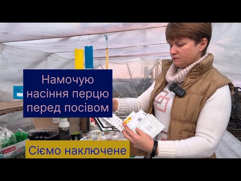 Видео: Розпочинаємо сезон розсади, намочила насіння перцю.