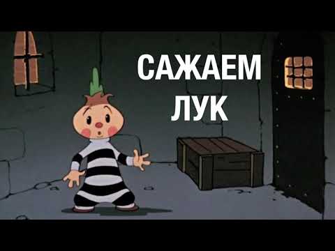 Видео: Посадили лук под зиму первый раз.