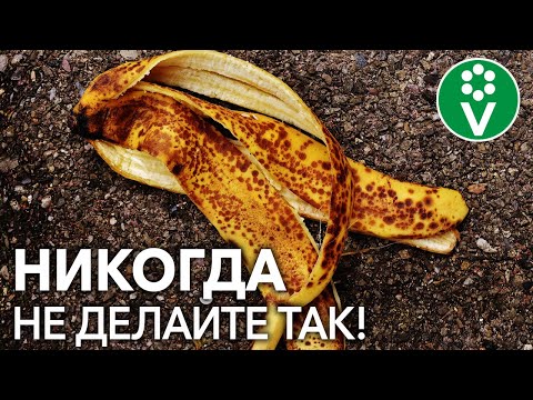 Видео: НЕ ИСПОЛЬЗУЙТЕ БАНАНОВУЮ КОЖУРУ В ОГОРОДЕ не досмотрев этот ролик до конца