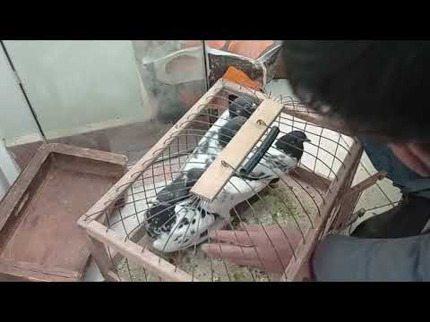 Видео: 19 февраля 2023 г.