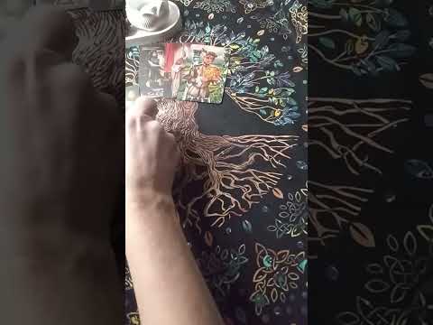 Видео: 💞НЕДЕЛЯ с 27 октября по 2 ноября. #таро 