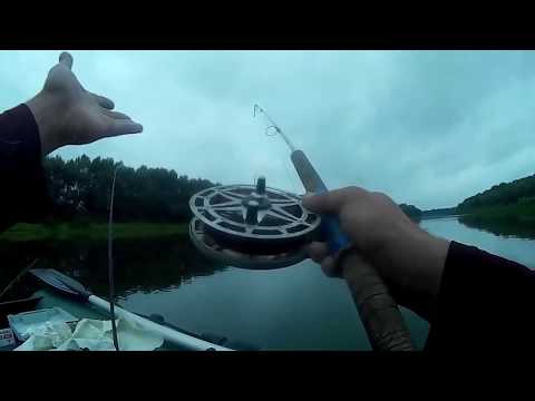 Видео: Ловля леща на гороховую мастырку в конце лета  . р.Десна