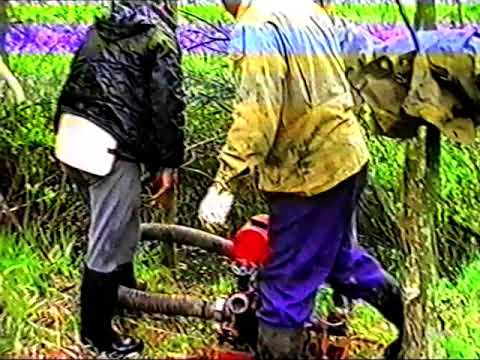 Видео: и снова копаем блиндаж