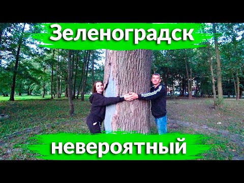 Видео: Невероятный Зеленоградск- море,прогулка по городскому парку/Кафе Пармезан -что почем?/Тортилин Пруд/