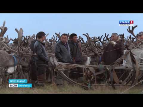 Видео: «Ямб-То», Олег Хатанзейский, ГТРК «Поморье», Ненецкий автономный округ