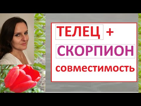 Видео: ТЕЛЕЦ + СКОРПИОН  совместимость - как сохранить отношения