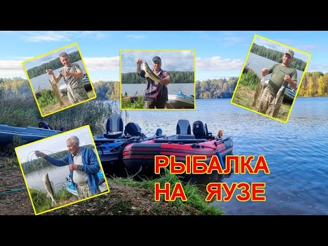 Видео: Классная Рыбалка на Яузском водохранилище. Август 2024 г.