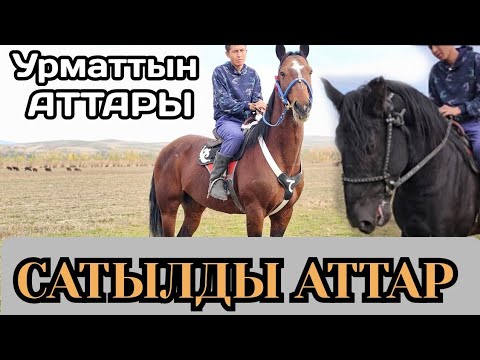 Видео: САТЫЛДЫ АТТАР