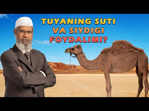 Видео: Др. Закир Найк | Туянинг сути ва сийдиги фойдалими?
