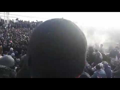 Видео: Улак лахш