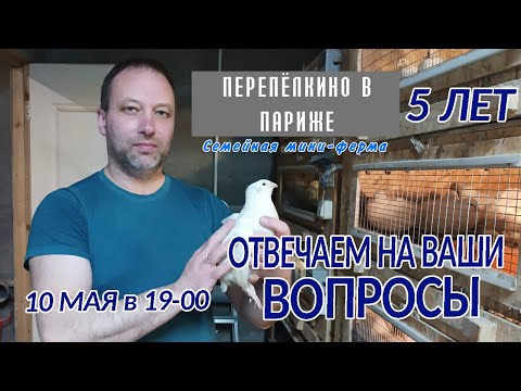 Видео: ПЕРЕПЁЛКИНО в ПАРИЖЕ