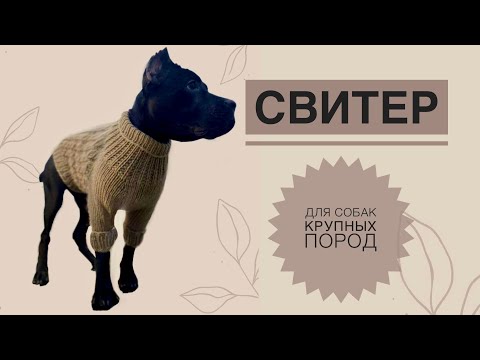 Видео: Свитер для собак крупных пород / Вязаный свитер для собак / Как связать свитер для собак / Вязание