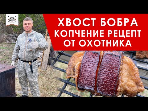 Видео: Копченый хвост бобра рецепт приготовления, как готовить хвосты бобров в коптилке. Рецепт от охотника