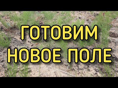 Видео: Предпосевная обработка почвы | Известкование почвы