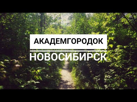 Видео: [4K] Прогулка по Академгородку, Новосибирск, 2020.