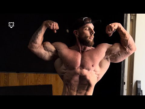 Видео: ЗЛОЙ ВОЛК 🐺 - Ким Энджел