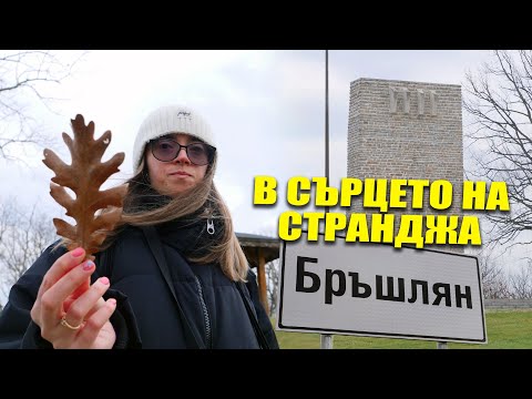 Видео: ДЕН за СНИМКИ в СЕЛО БРЪШЛЯН и ПЕТРОВА НИВА