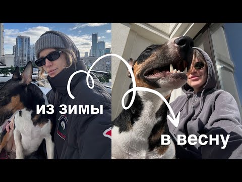 Видео: 33. В планах — просто пережить эту зиму. Тихо прощаемся с зимой. Не кричим, чтоб не спугнуть весну.