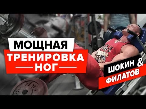 Видео: Как накачать ноги? | Мощная тренировка ног! | Андрей Шокин и Александр Филатов [ШОKING]