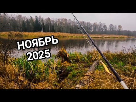 Видео: ОТВОДНОЙ ПОВОДОК,ДЖИГ,КОЛЕБАЛКИ.ПОЧЕМУ НЕ АКТИВНА ЩУКА В РЕКЕ, АНОМАЛЬНАЯ ОСЕНЬ?