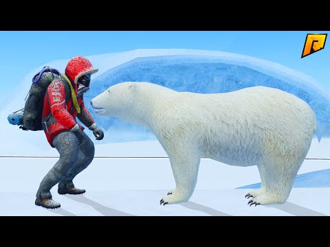 Видео: ЛИЦОМ К ЛИЦУ! ВСТРЕЧА ЧЕЛОВЕКА С МЕДВЕДЕМ | CRMP