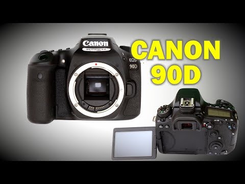 Видео: Обзор Canon 90D (и сравнение с Canon R)