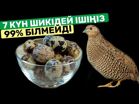 Видео: Бөдене жұмыртқасын КҮНДЕ ІШСЕ НЕ БОЛАДЫ. Бөдене жұмыртқасының пайдасы.