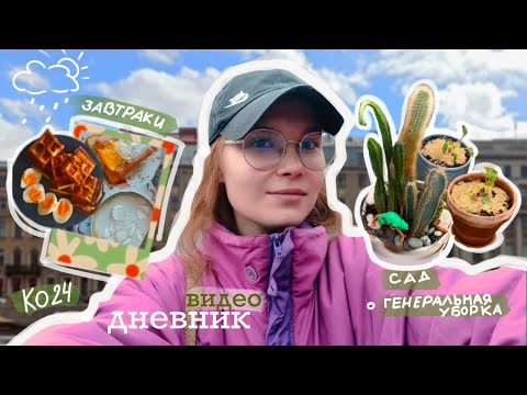 Видео: видео дневник | рабочая неделя, корейская еда КО24, йога, генеральная уборка, сад на подоконнике