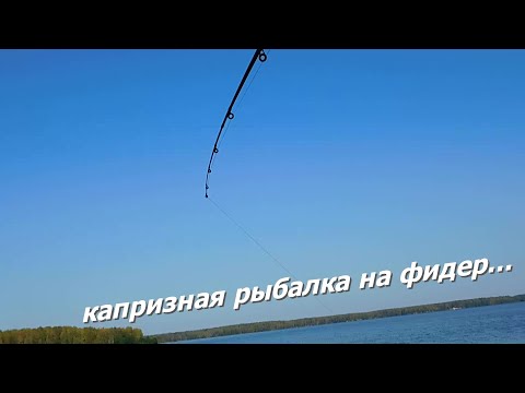 Видео: сложная рыбалка на фидер в ночь...