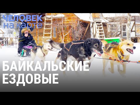 Видео: Байкальские ездовые (хаски) | ЧЕЛОВЕК НА КАРТЕ