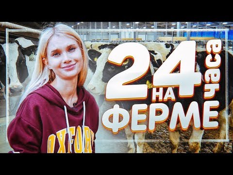 Видео: Я пробую жить 24 часа в деревне 🐄 тут надо доить коров | Лисса