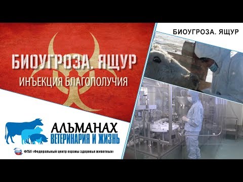 Видео: "Биоугроза. Ящур"
