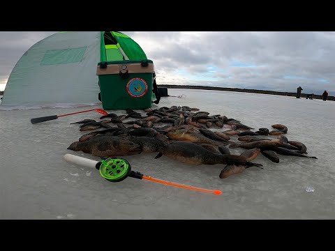 Видео: РОТАНИЙ ДРАЙВ. Зимняя рыбалка. Открытие зимнего сезона 2024-2025г