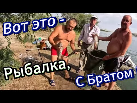 Видео: Трофейные Судаки, Рыбалка с Братом на Реке !