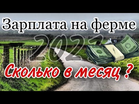 Видео: ЗАРПЛАТА 💰 НА ФЕРМЕ ВЕЛИКОБРИТАНИИ В 2021 ГОДУ| СКОЛЬКО ДЕНЕГ 💵 ПОЛУЧИЛОСЬ ОТЛОЖИТЬ ???