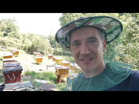 Видео: Абхазия Гудаута Натуральный горный мёд Пляж Море 27 июля 2025 г.