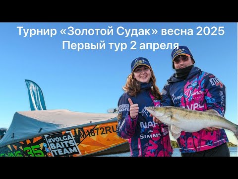 Видео: Золотой судак весна 2025 1 тур