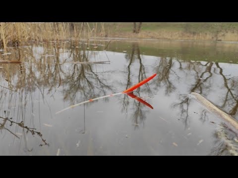 Видео: Караси ВЁДРАМИ - ВЫКЛАДЫВАЮТ И ТАЩАТ в кусты!! Рыбалка на поплавок весной 2022