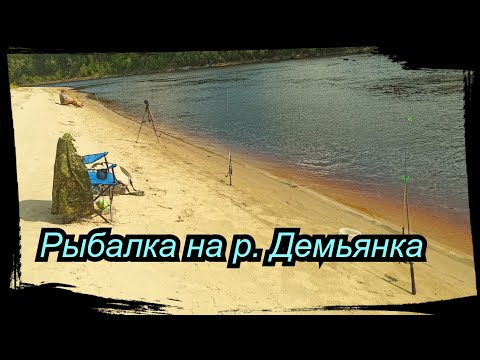 Видео: Первая рыбалка на р. Демьянке. 4 Месяца в тайге. Сезон 2023 Серия 3.