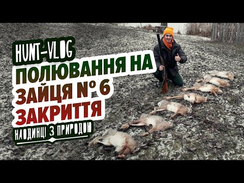 Видео: Полювання на зайця № 6- закриття / Охота на зайца №6-закрытие