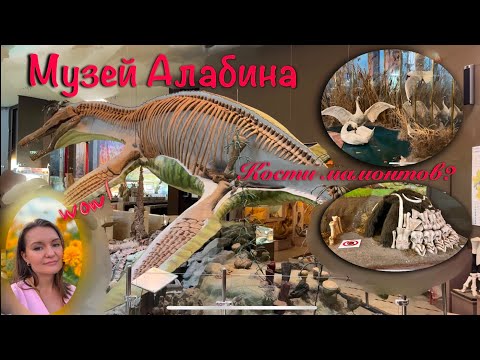 Видео: Музей Алабина. Куда пойти с детьми на выходных и в каникулы в Самаре