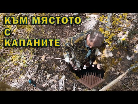 Видео: Към мястото с капаните 1 - ва част./To the place with the traps, part 1.