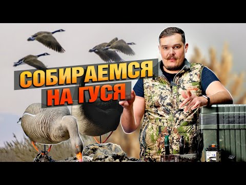 Видео: Что Взять На Гуся?