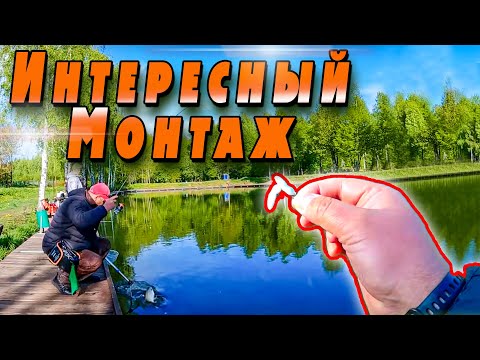 Видео: Форель на донку, на Силикон??!! | Стрейч приманки | Jara Baits