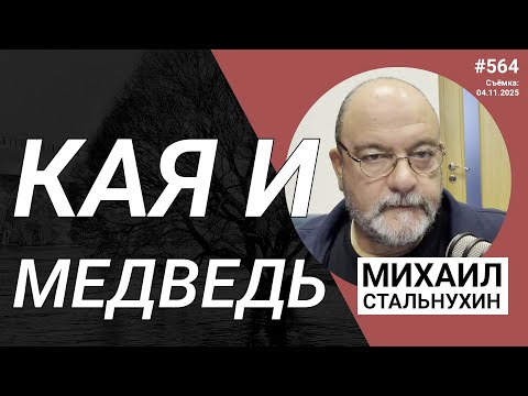 Видео: Кая и медведь | Radio Narva | 564