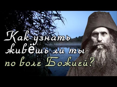 Видео: Как узнать живёшь ли ты по воле Божией? Силуан Афонский