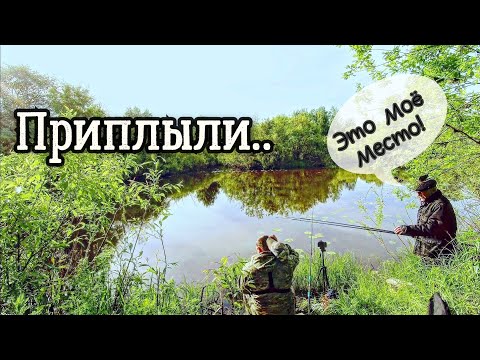 Видео: Во дела... Меня выгнали с места, но я все равно наловил рыбы! Ловля на поплавок в кувшинках.