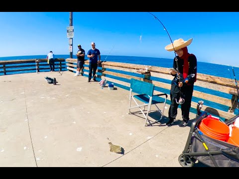 Видео: Я рыбачил на пирсе Ньюпорт-Бич и больше туда не вернусь.